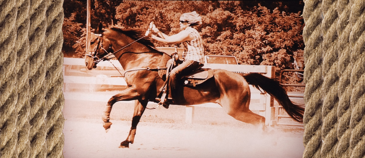 Horse and Rope PROOF